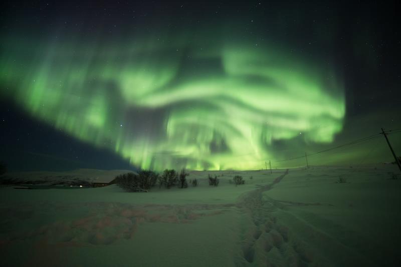 Caccia all’Aurora Boreale e avventure nell’ Artico. 29/1 - 01/02/2020