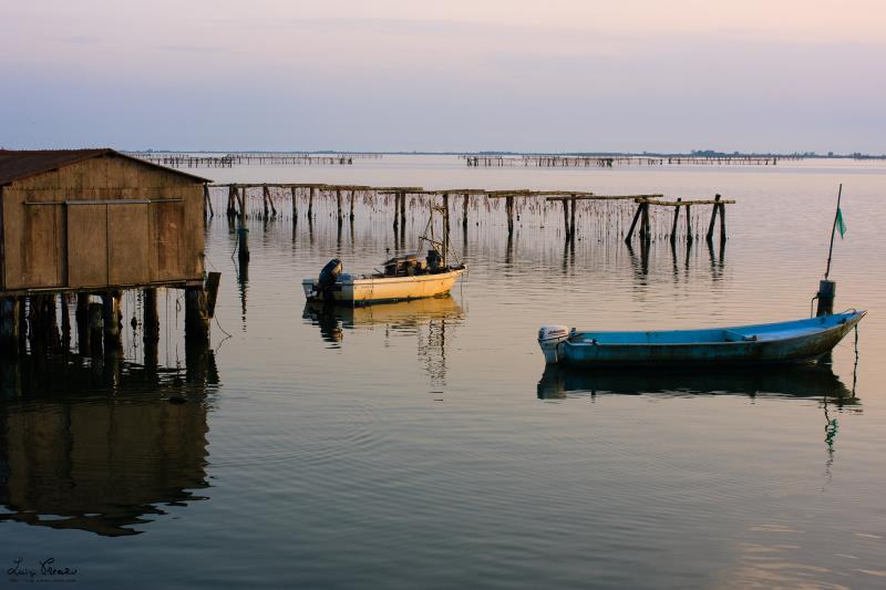 Pesca Turismo nel Delta del Po